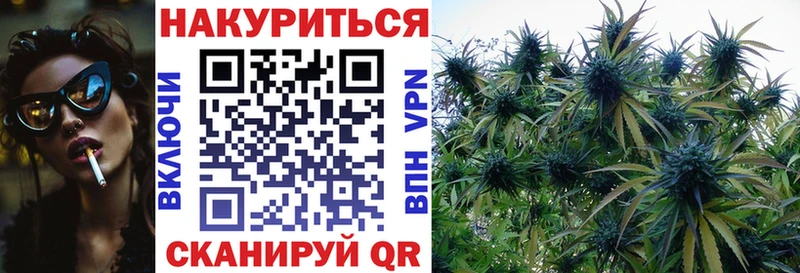 купить наркотики сайты Владимир Каннабис Amnesia